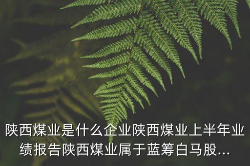 陜西煤業(yè)是什么企業(yè)陜西煤業(yè)上半年業(yè)績報告陜西煤業(yè)屬于藍籌白馬股...