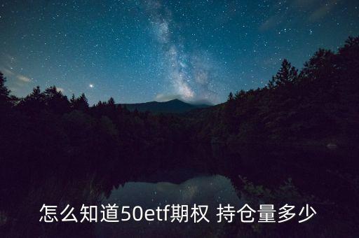 怎么知道50etf期權(quán) 持倉量多少