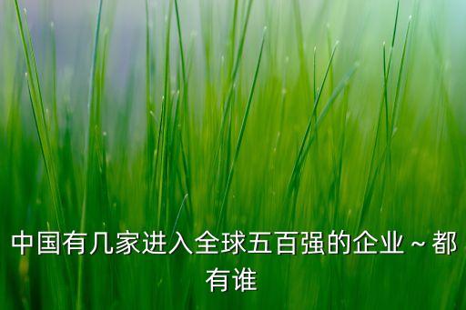 中國(guó)有幾家進(jìn)入全球五百?gòu)?qiáng)的企業(yè)～都有誰(shuí)