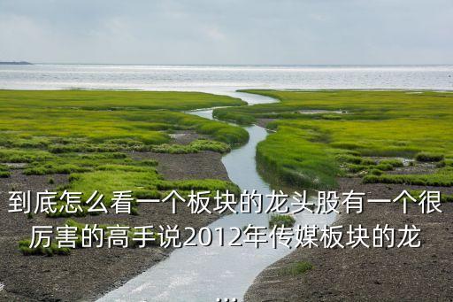 到底怎么看一個板塊的龍頭股有一個很厲害的高手說2012年傳媒板塊的龍...