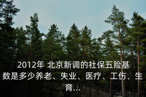  2012年 北京新調(diào)的社保五險基數(shù)是多少養(yǎng)老、失業(yè)、醫(yī)療、工傷、生育...