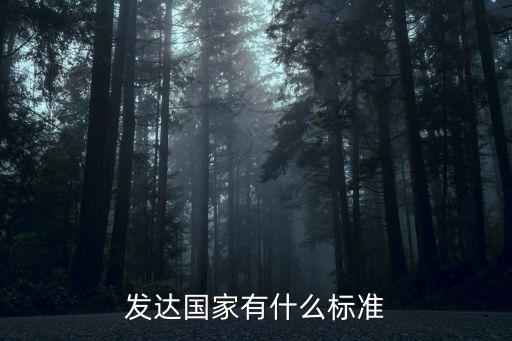 發(fā)達國家有什么標準