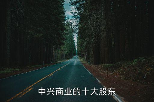 中興商業(yè)的十大股東