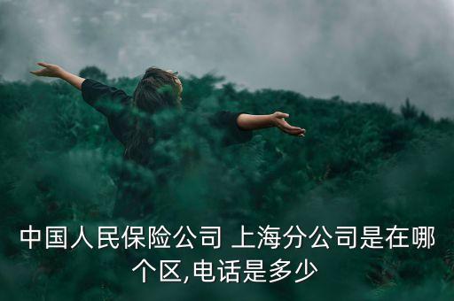 中國人民保險(xiǎn)公司 上海分公司是在哪個(gè)區(qū),電話是多少