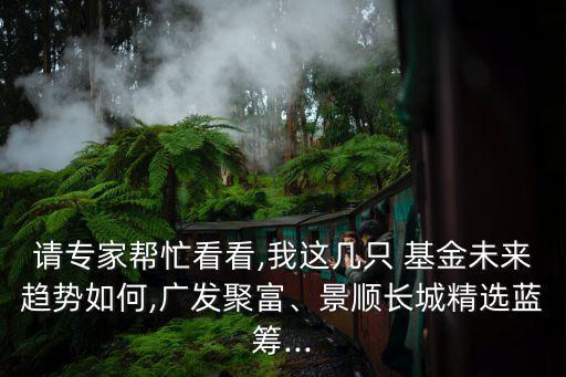 請專家?guī)兔纯?我這幾只 基金未來趨勢如何,廣發(fā)聚富、景順長城精選藍(lán)籌...