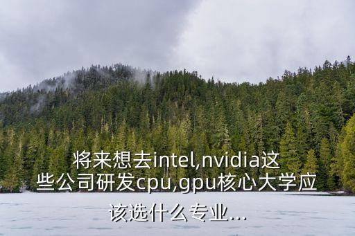 將來(lái)想去intel,nvidia這些公司研發(fā)cpu,gpu核心大學(xué)應(yīng)該選什么專業(yè)...