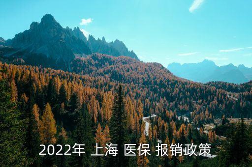 2022年 上海 醫(yī)保 報銷政策