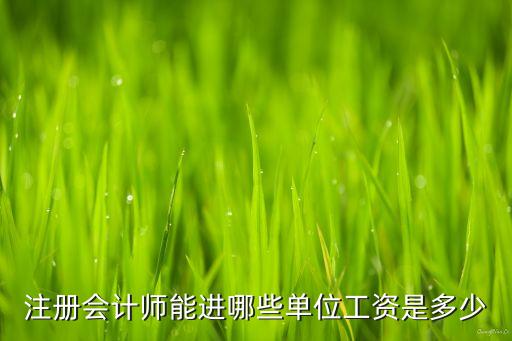 注冊(cè)會(huì)計(jì)師能進(jìn)哪些單位工資是多少