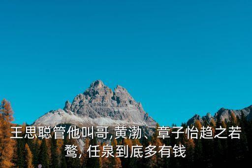 王思聰管他叫哥,黃渤、章子怡趨之若鶩, 任泉到底多有錢