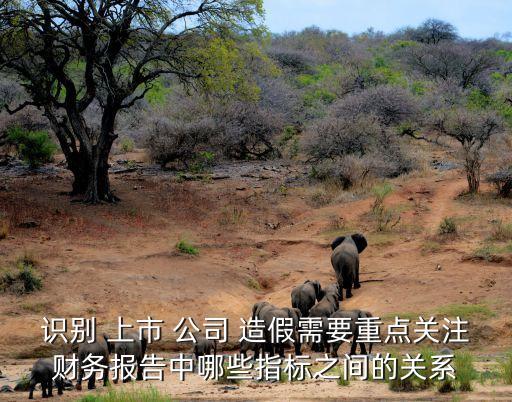 識別 上市 公司 造假需要重點關(guān)注財務(wù)報告中哪些指標(biāo)之間的關(guān)系