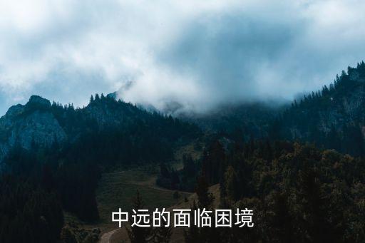 中國遠(yuǎn)洋能否扭虧