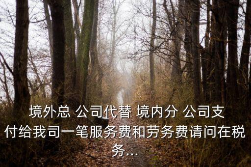  境外總 公司代替 境內分 公司支付給我司一筆服務費和勞務費請問在稅務...