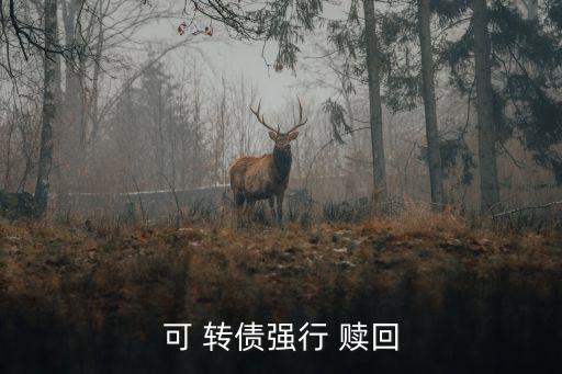 可 轉(zhuǎn)債強(qiáng)行 贖回