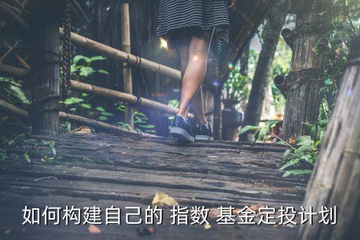 如何構(gòu)建自己的 指數(shù) 基金定投計劃