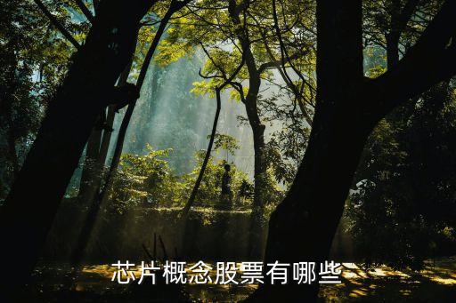 北京君正科技發(fā)展有限公司,深圳市君箭科技發(fā)展有限公司