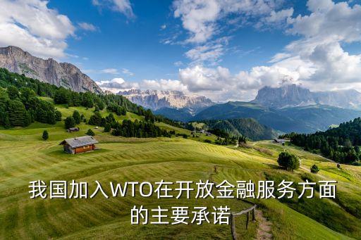  我國加入WTO在開放金融服務方面的主要承諾