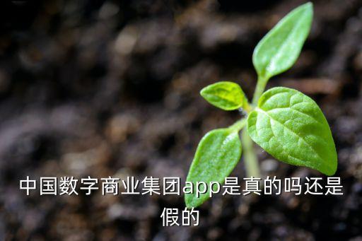 中國數(shù)字商業(yè)集團(tuán)app是真的嗎還是假的