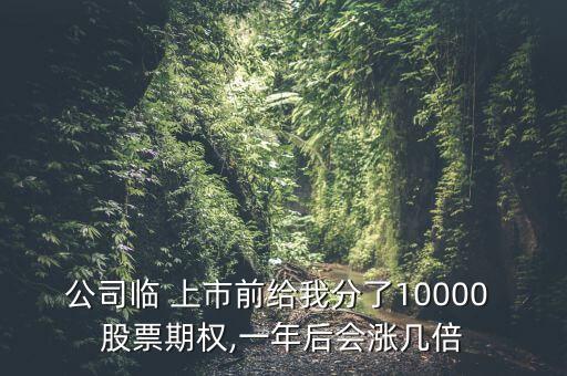 公司臨 上市前給我分了10000 股票期權(quán),一年后會漲幾倍