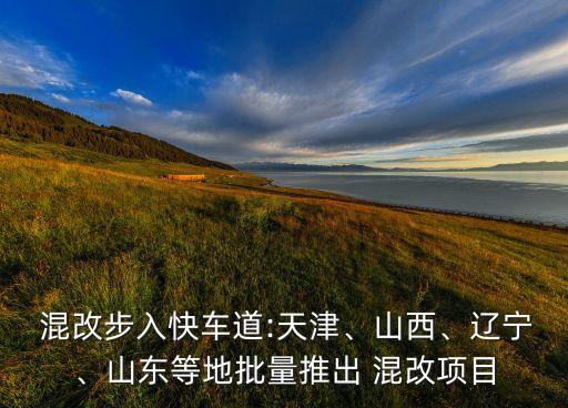  混改步入快車道:天津、山西、遼寧、山東等地批量推出 混改項目