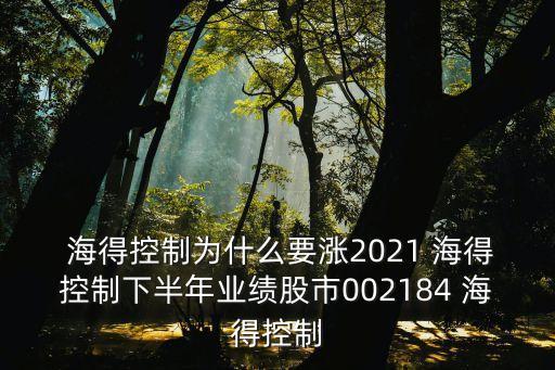  海得控制為什么要漲2021 海得控制下半年業(yè)績股市002184 海得控制