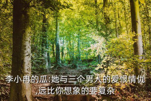 李小冉的瓜:她與三個男人的愛恨情仇,遠比你想象的要復雜