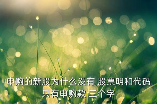 申購的新股為什么沒有 股票明和代碼只有申購款 三個字