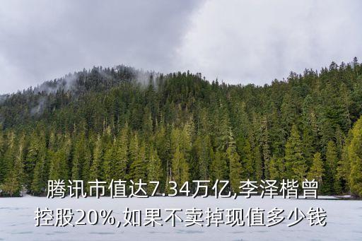  騰訊市值達(dá)7.34萬(wàn)億,李澤楷曾控股20%,如果不賣(mài)掉現(xiàn)值多少錢(qián)