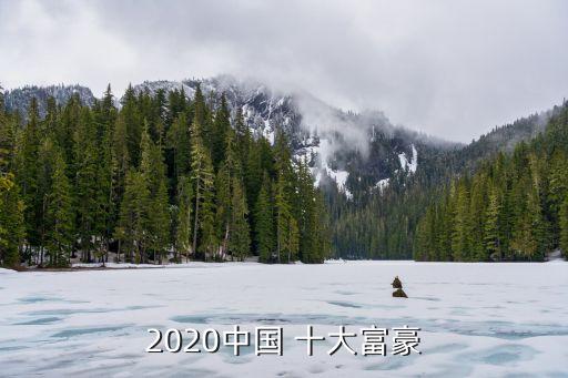 中國十大財富家族,世界十大財富家族排行榜