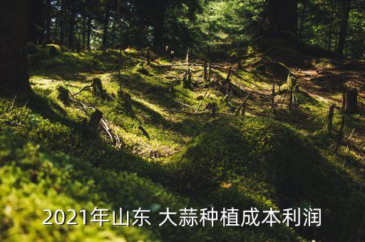 2021年山東 大蒜種植成本利潤