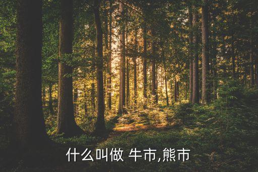 股票大牛市什么意思,股票帶sz是什么意思