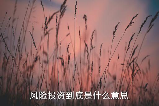 風(fēng)險投資到底是什么意思