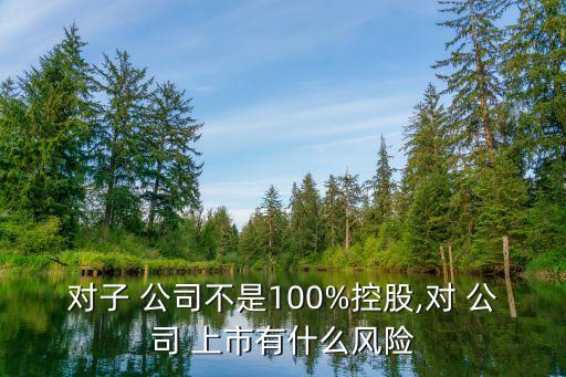 對子 公司不是100%控股,對 公司 上市有什么風險