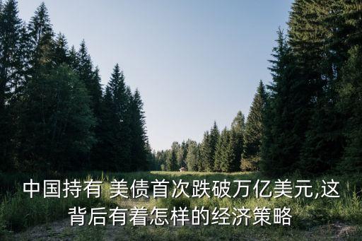 中國持有 美債首次跌破萬億美元,這背后有著怎樣的經(jīng)濟策略