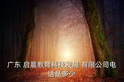 衢州啟晨玩具有限公司,衢州大晨顯示技術(shù)有限公司