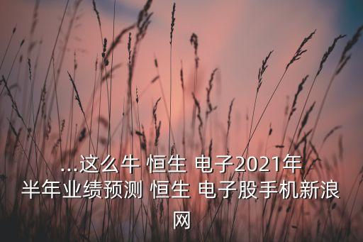 ...這么牛 恒生 電子2021年半年業(yè)績(jī)預(yù)測(cè) 恒生 電子股手機(jī)新浪網(wǎng)