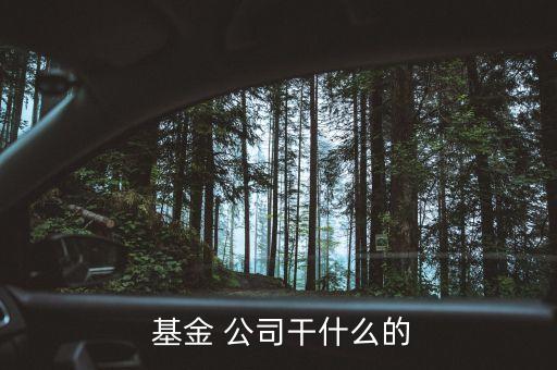  基金 公司干什么的