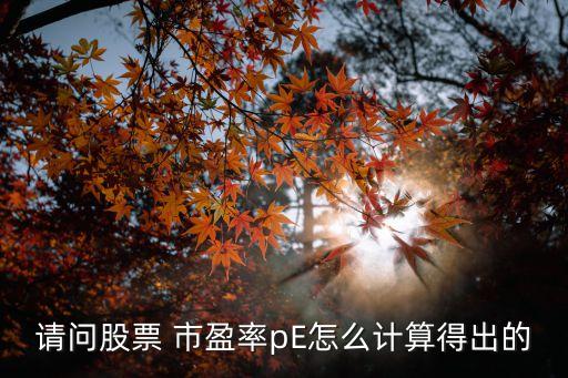 請問股票 市盈率pE怎么計算得出的