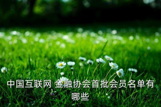 中國互聯(lián)網(wǎng) 金融協(xié)會首批會員名單有哪些