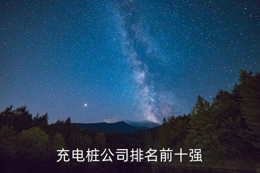 充電樁公司排名前十強