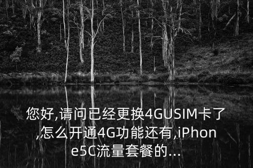 您好,請問已經(jīng)更換4GUSIM卡了,怎么開通4G功能還有,iPhone5C流量套餐的...