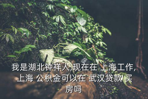 我是湖北鐘祥人,現(xiàn)在在 上海工作, 上海 公積金可以在 武漢貸款 買房嗎