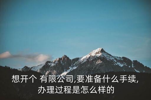 想開個(gè) 有限公司,要準(zhǔn)備什么手續(xù), 辦理過程是怎么樣的