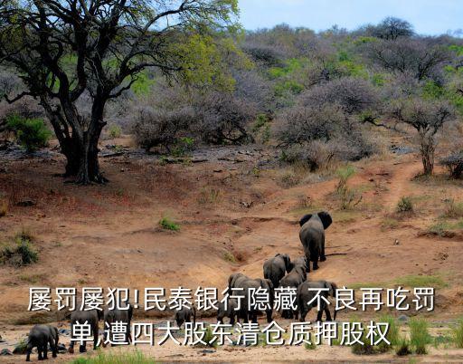 屢罰屢犯!民泰銀行隱藏 不良再吃罰單,遭四大股東清倉(cāng)質(zhì)押股權(quán)