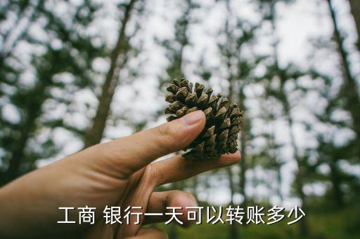  工商 銀行一天可以轉(zhuǎn)賬多少