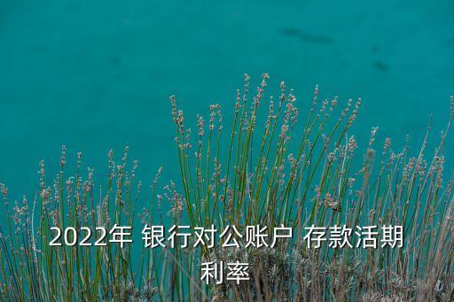 2022年 銀行對(duì)公賬戶 存款活期利率