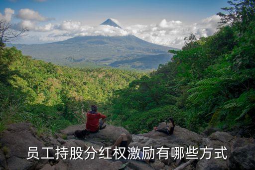 員工持股分紅權(quán)激勵(lì)有哪些方式