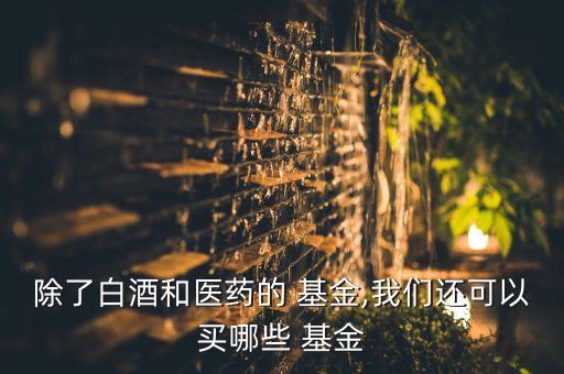 除了白酒和醫(yī)藥的 基金,我們還可以買哪些 基金