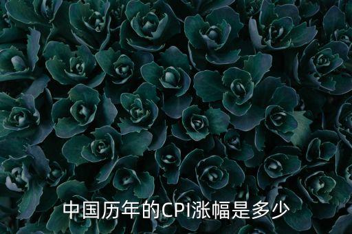 中國(guó)歷年的CPI漲幅是多少