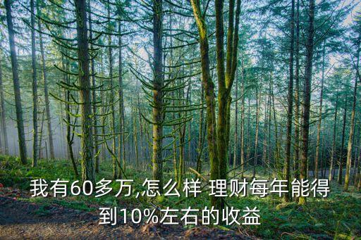 我有60多萬,怎么樣 理財每年能得到10%左右的收益