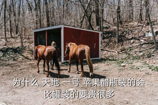 為什么 天地 一號 蘋果醋瓶裝的會比罐裝的要貴很多